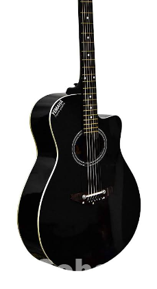 Acoustic Guitar